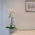 Vivienda Turistica Junto Al Ayuntamiento 公寓 毕尔巴鄂