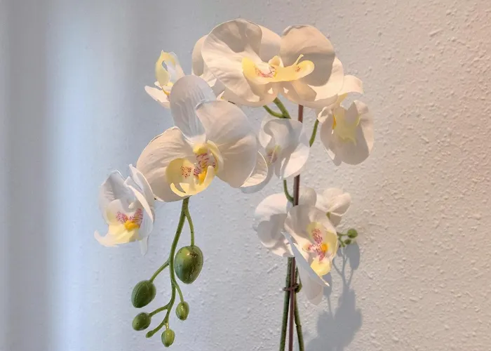 Vivienda Turistica Junto Al Ayuntamiento