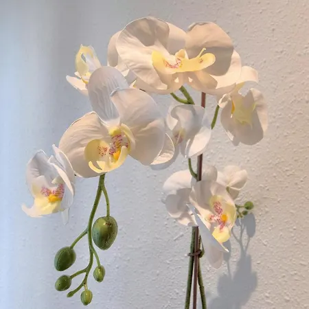 Vivienda Turistica Junto Al Ayuntamiento