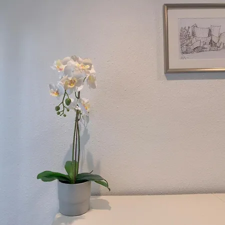 Vivienda Turistica Junto Al Ayuntamiento Apartment Bilbao